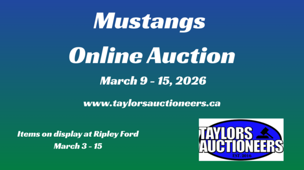 Mustangs Online Auction