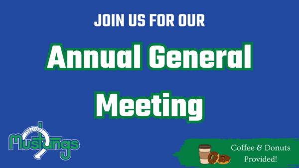 2026 Annual General Meeting